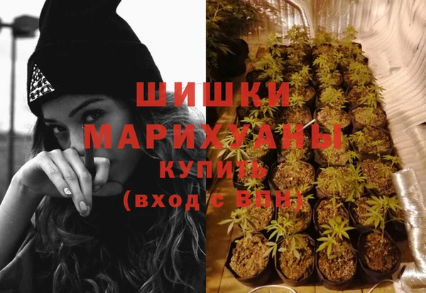 PSILOCYBIN Алексеевка