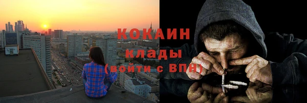 стаф Алзамай