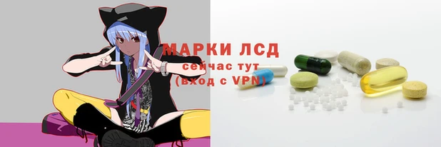 стаф Алзамай
