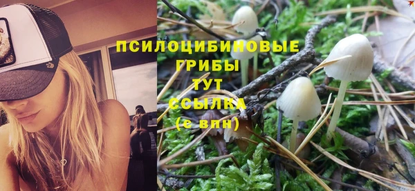прущий лед Алексин