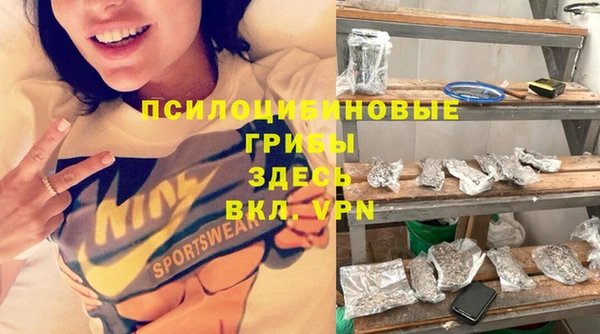 PSILOCYBIN Алексеевка