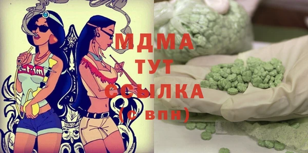 стаф Алзамай