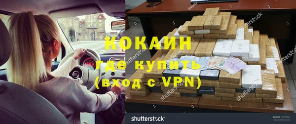 стаф Алзамай