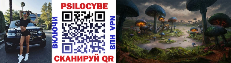 Галлюциногенные грибы Psilocybine cubensis  Цоци-Юрт 