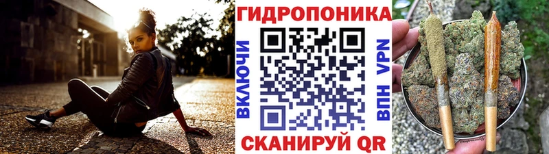Конопля марихуана Цоци-Юрт