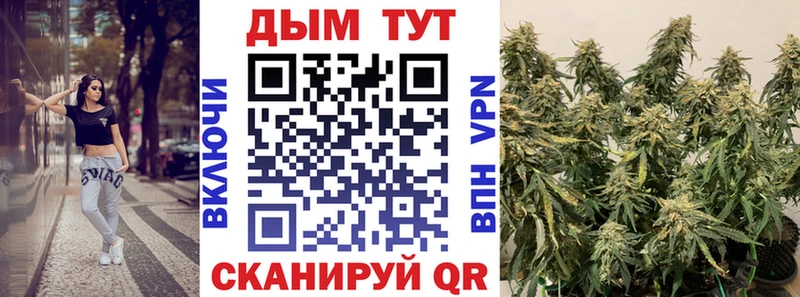 хочу   Цоци-Юрт  Марихуана сатива 